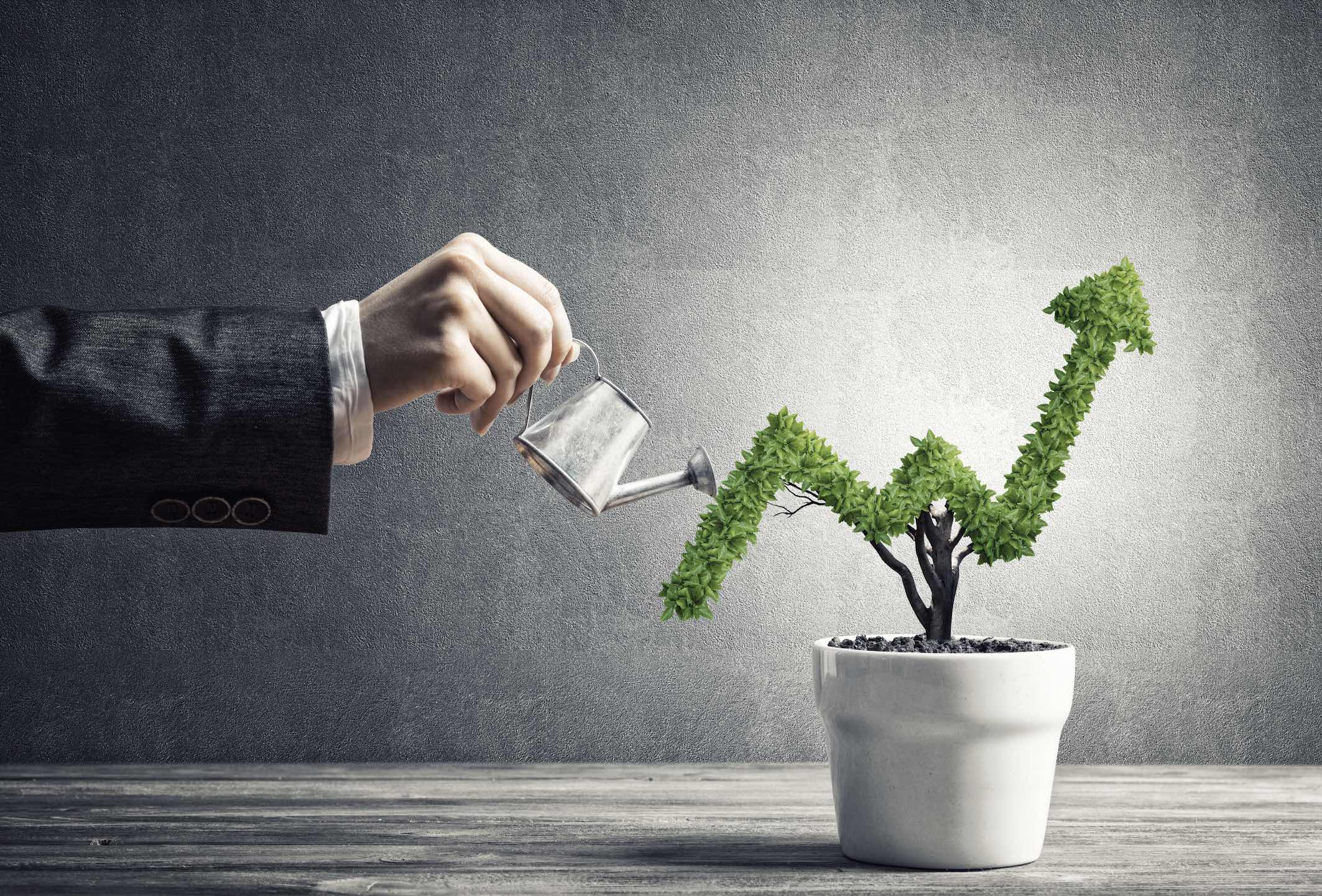 How to Create a Social Media Budget for Every Size of Business
