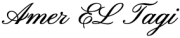 amer_signature_web amer_signature_web